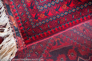 Kunduz Afghan Rug designed by Waziri (Large) 