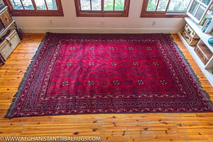 Kunduz Afghan Rug designed by Waziri (Large) 