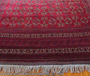 Kunduz Afghan Rug designed by Waziri 