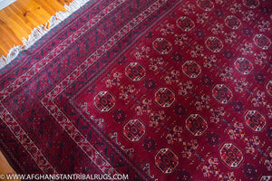 Kunduz Afghan Rug designed by Waziri 