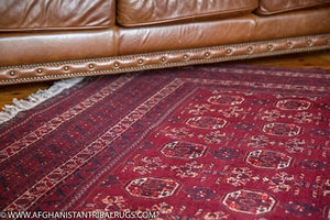 Kunduz Afghan Rug designed by Waziri 