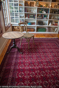 Kunduz Afghan Rug large with chair