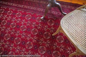 Kunduz Afghan Rug