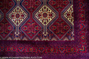 afghan wool