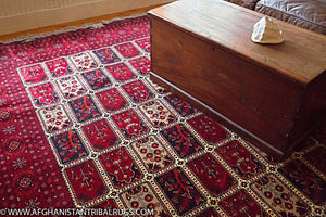 Bokhara Afghan Rug 