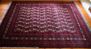 Royal Bokhara Afghan Rug (Large) designed by Shotori Bagmal 